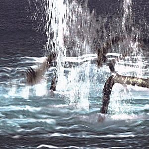 Foto Bermuda Tentacles