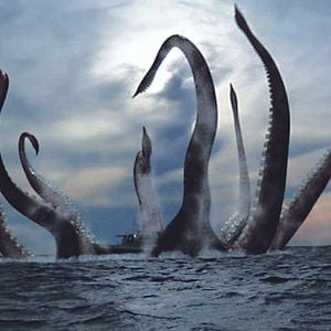 Foto Bermuda Tentacles