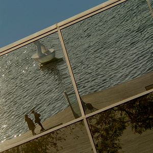 Foto Rastros de sándalo