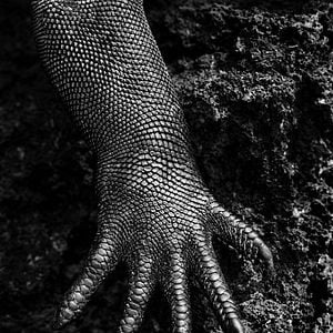 Foto La sal de la tierra