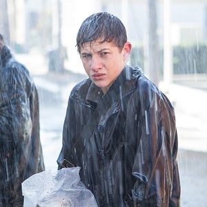 Foto Tye Sheridan