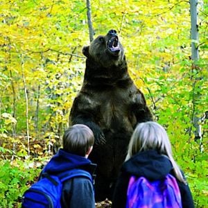 Foto Una aventura salvaje