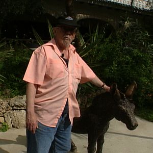 Foto Llámale Jess Redux