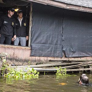 Foto NCIS : Nueva Orleans