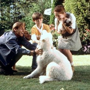 Foto De vuelta a casa 2: Perdidos en San Francisco