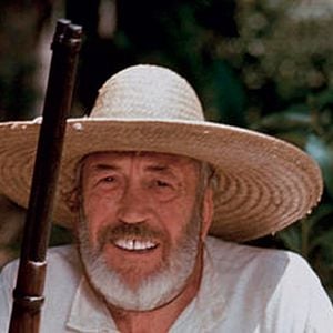 Foto Un puente en la jungla