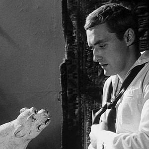 Foto El enigmático mundo de los thrillers