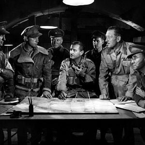 Foto Las ratas del desierto