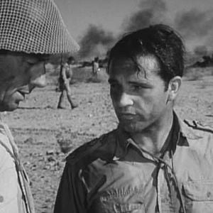 Foto Las ratas del desierto