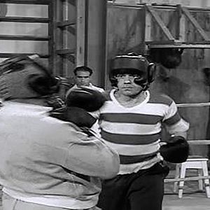 Foto El tigre de Chamberí