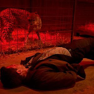 Foto Nikolaj Lie Kaas