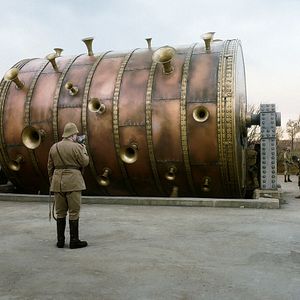 Foto Una paloma se posó en una rama a reflexionar sobre la existencia