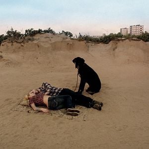 Foto Una paloma se posó en una rama a reflexionar sobre la existencia