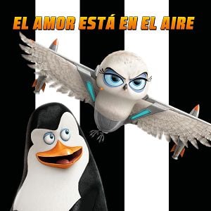 Foto Los pingüinos de Madagascar