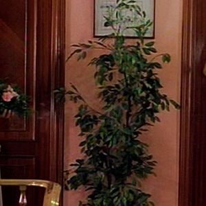 Foto Pon un hombre en tu vida