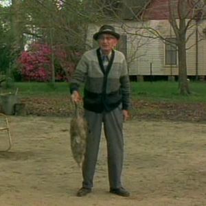 Foto Vernon, Florida