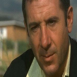 Foto Las verdes praderas