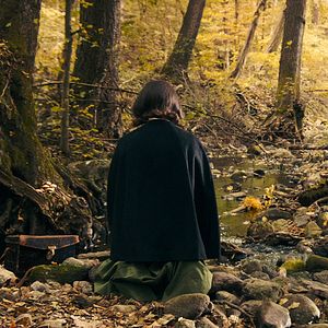 Foto The Duke Of Burgundy