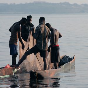 Foto Plot for Peace (Complot para la paz)