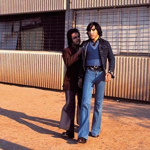 Foto Perros callejeros