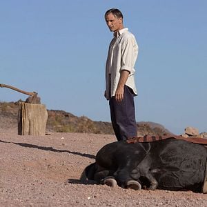 Foto Viggo Mortensen