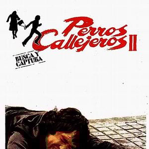 Foto Perros callejeros II: Busca y captura