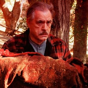 Foto Red (Debieron decir la verdad...)