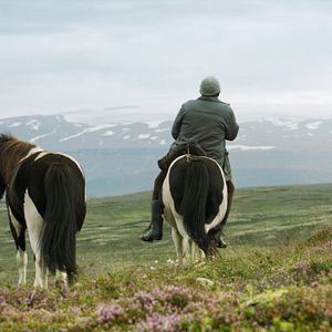 Foto De caballos y hombres