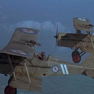 Foto Las águilas azules