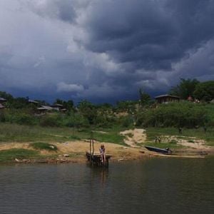 Foto La niña de la selva
