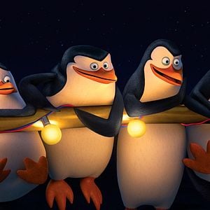 Foto Los pingüinos de Madagascar