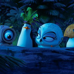 Foto Los pingüinos de Madagascar