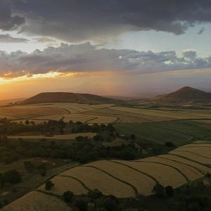 Foto African Safari 3D