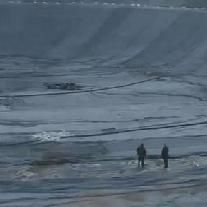 Foto Der Müll im Garten Eden