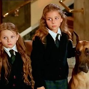 Foto Chesnut: El héroe de Central Park