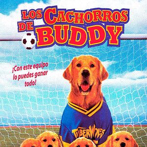 Foto Los cachorros de Buddy