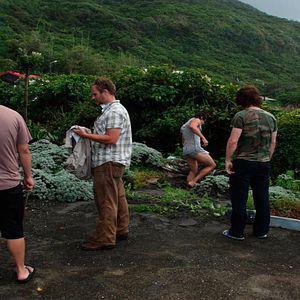 Foto The Taiwan Oyster