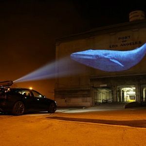 Foto Racing Extinction: Cuenta Regresiva