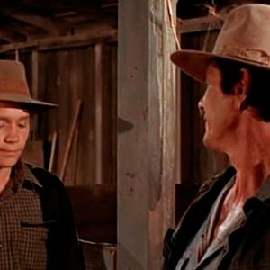 Foto El toro del oeste