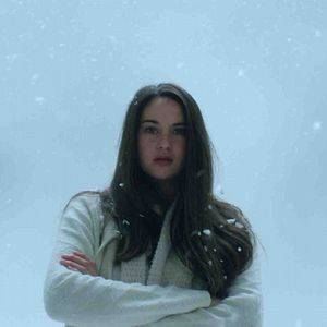 Foto White Bird in a Blizzard