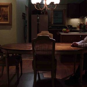 Foto White Bird in a Blizzard