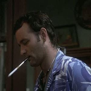 Foto Where the Buffalo Roam