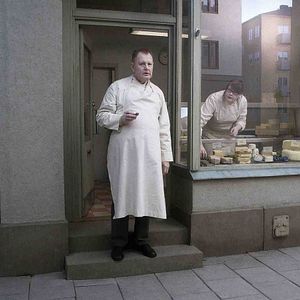 Foto Una paloma se posó en una rama a reflexionar sobre la existencia