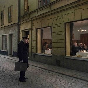 Foto Una paloma se posó en una rama a reflexionar sobre la existencia