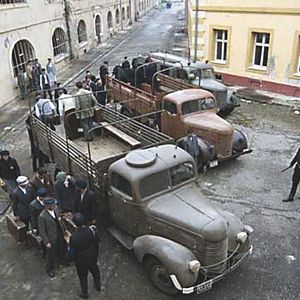 Foto El camino de la libertad