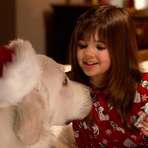 Foto En busca de Santa Can