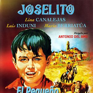 Foto El Pequeño ruisenor