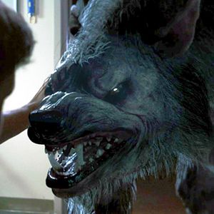 Foto Perros de batalla