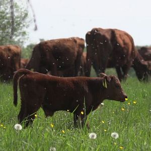 Foto Vendrán tiempos mejores
