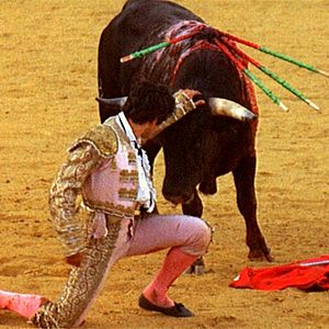 Foto El momento de la verdad